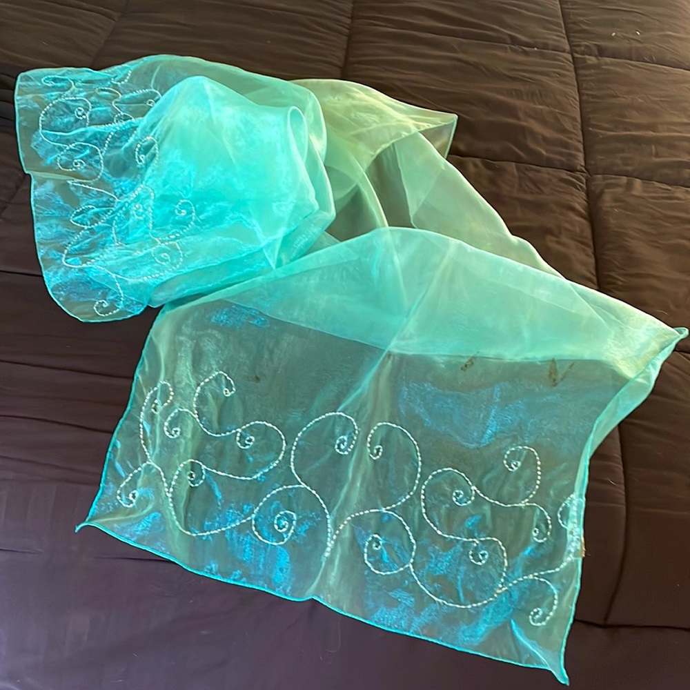 Sheer elegance beaded organdy extra long shawl.